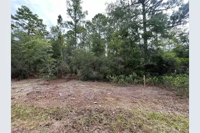 124 Glenside Street, Georgetown, FL 32139 - Photo 8