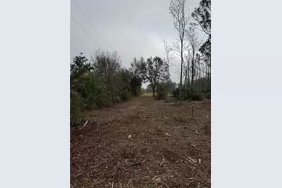 0 West Frostproof Road, Frostproof, FL 33843 - Photo 6