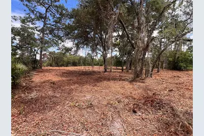 Deer Road, Frostproof, FL 33843 - Photo 2