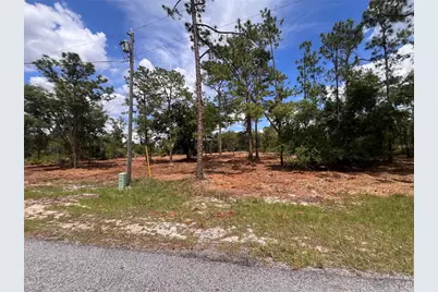 Deer Road, Frostproof, FL 33843 - Photo 4