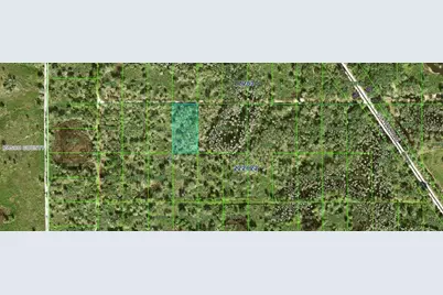 Inaccessible Tract, Kathleen, FL 33849 - Photo 2