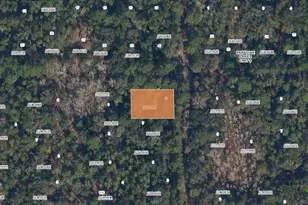 Spruce Dr, Georgetown, FL 32139 - Photo 1