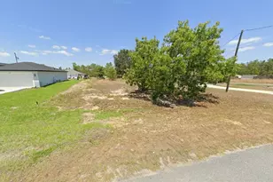 Lot 15 Locust Pass Trail, Ocala, FL 34472 - Photo 1