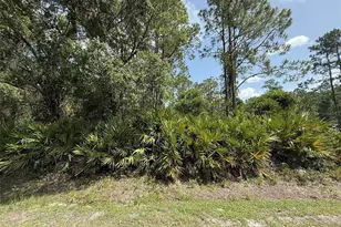 132 Millican Rd, Palatka, FL 32177 - Photo 1