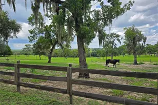5757 Trask Rd, Fort Meade, FL 33841 - Photo 70