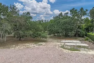 914 Mangham Rd, Babson Park, FL 33827 - Photo 84