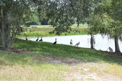 1819 Sandhill Lane, Winter Haven, FL 33884 - Photo 4