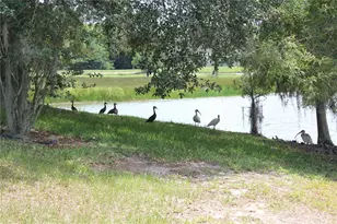 1819 Sand Hill Ln, Winter Haven, FL 33884 - Photo 4