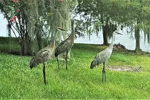 1819 Sand Hill Ln, Winter Haven, FL 33884 - Photo 66