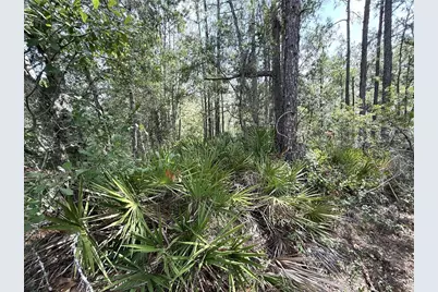 0 Lake Caloosa Landing, Frostproof, FL 33843 - Photo 6