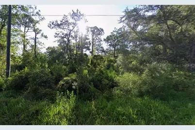 Atlee Street, New Port Richey, FL 34654 - Photo 1