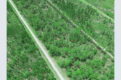 0 Valencia Drive, Indian Lake Estates, FL 33855 - Photo 6