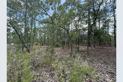 Tbd Tree Top Road, Dunnellon, FL 34431 - Photo 6
