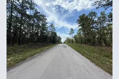 Tbd Tree Top Road, Dunnellon, FL 34431 - Photo 2