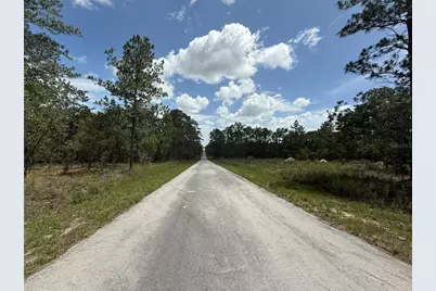 Tbd Tree Top Road, Dunnellon, FL 34431 - Photo 4
