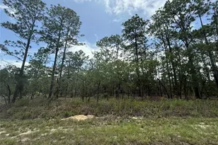 Tbd Tree Top Rd, Dunnellon, FL 34431 - Photo 1