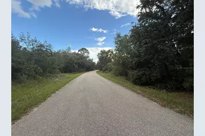 1012 Wildflower Street, Lake Placid, FL 33852 - Photo 4