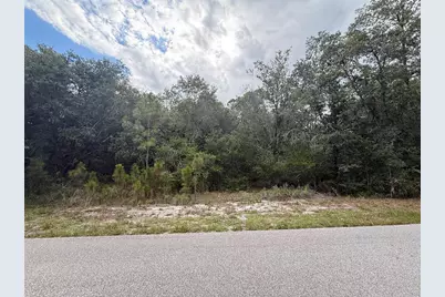 1012 Wildflower Street, Lake Placid, FL 33852 - Photo 8