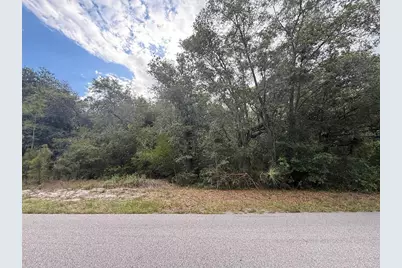 1012 Wildflower Street, Lake Placid, FL 33852 - Photo 10