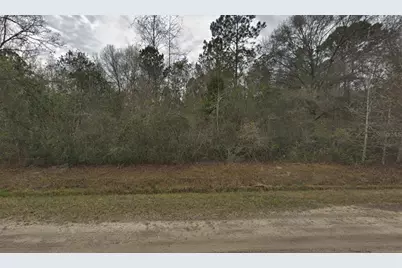 10135 Nikolich Avenue, Hastings, FL 32145 - Photo 1
