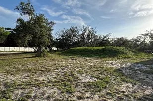 206 Brandywine Trail, Frostproof, FL 33843 - Photo 10