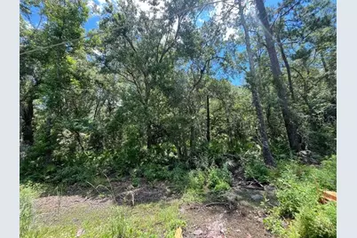 Tbd Franklin Drive, Crawfordville, FL 32327 - Photo 6