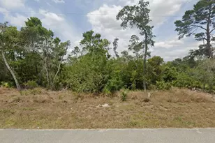 234 Boston Way, Lake Placid, FL 33852 - Photo 1
