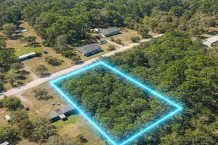 4818 Acacia St, Middleburg, FL 32068 - Photo 1