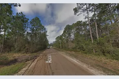 4818 Acacia Street, Middleburg, FL 32068 - Photo 2
