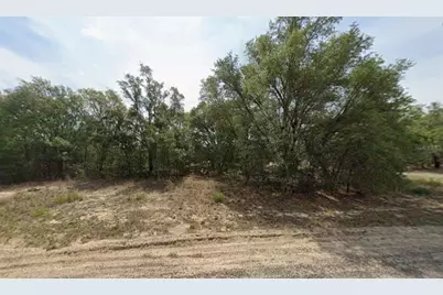 6371 N Coral Lily Drive, Citrus Springs, FL 34434 - Photo 2