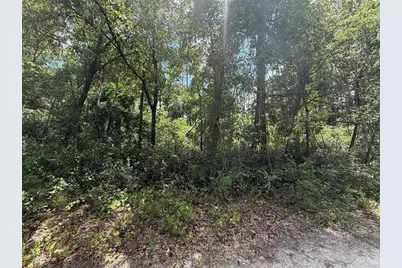 313 Calhoun Avenue, Florahome, FL 32140 - Photo 4