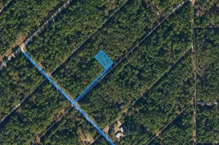210 SE 2nd St, Georgetown, FL 32139 - Photo 1