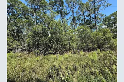210 SE 2nd Street, Georgetown, FL 32139 - Photo 4