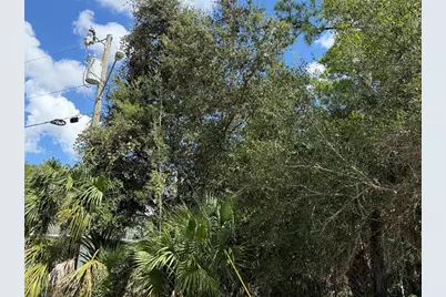 6000 Vera Avenue N, Lehigh Acres, FL 33971 - Photo 4