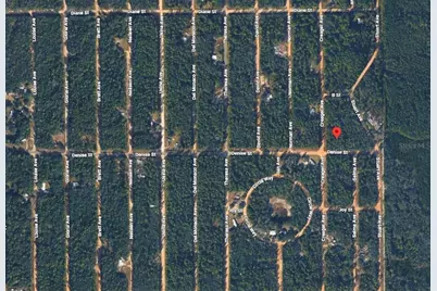 Creager Avenue, Interlachen, FL 32148 - Photo 4