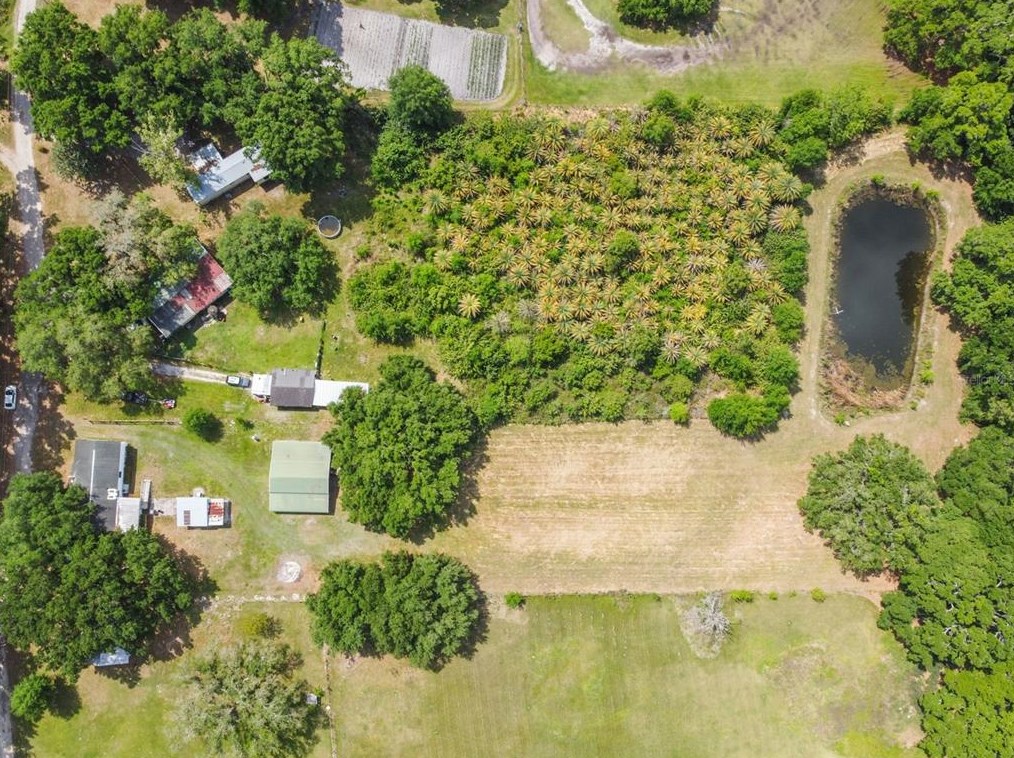 601 Honeyfarm Ln, Auburndale FL  33823-8306 exterior