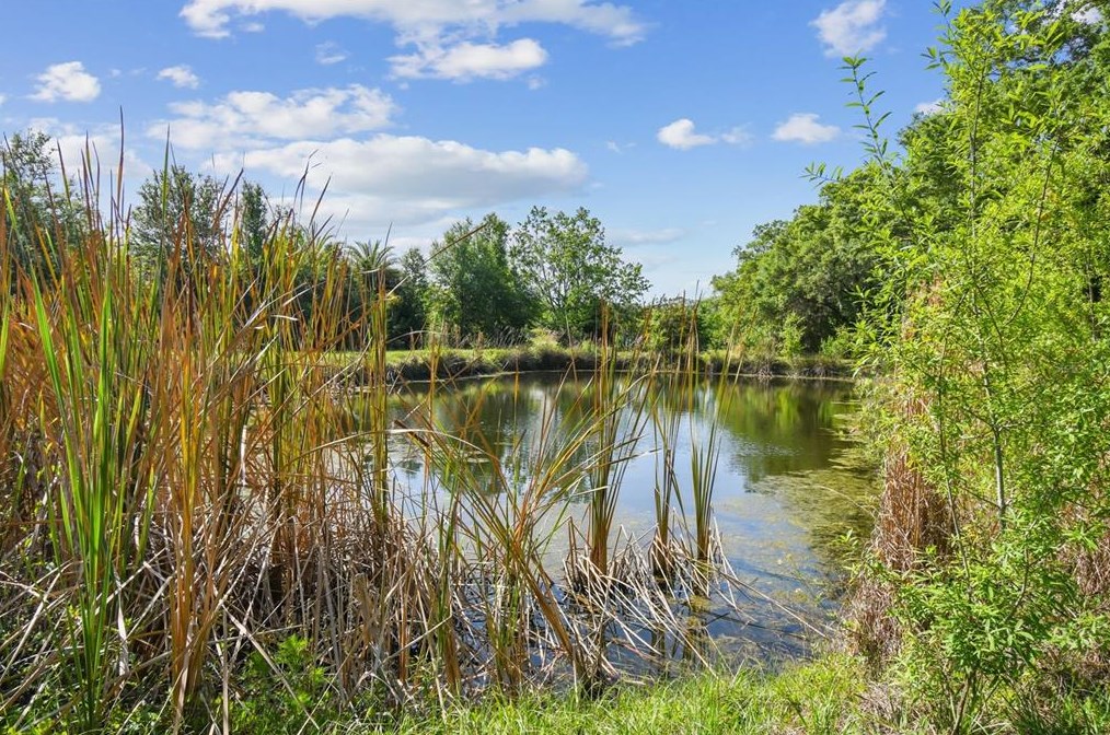 601 Honeyfarm Ln, Auburndale FL  33823-8306 exterior