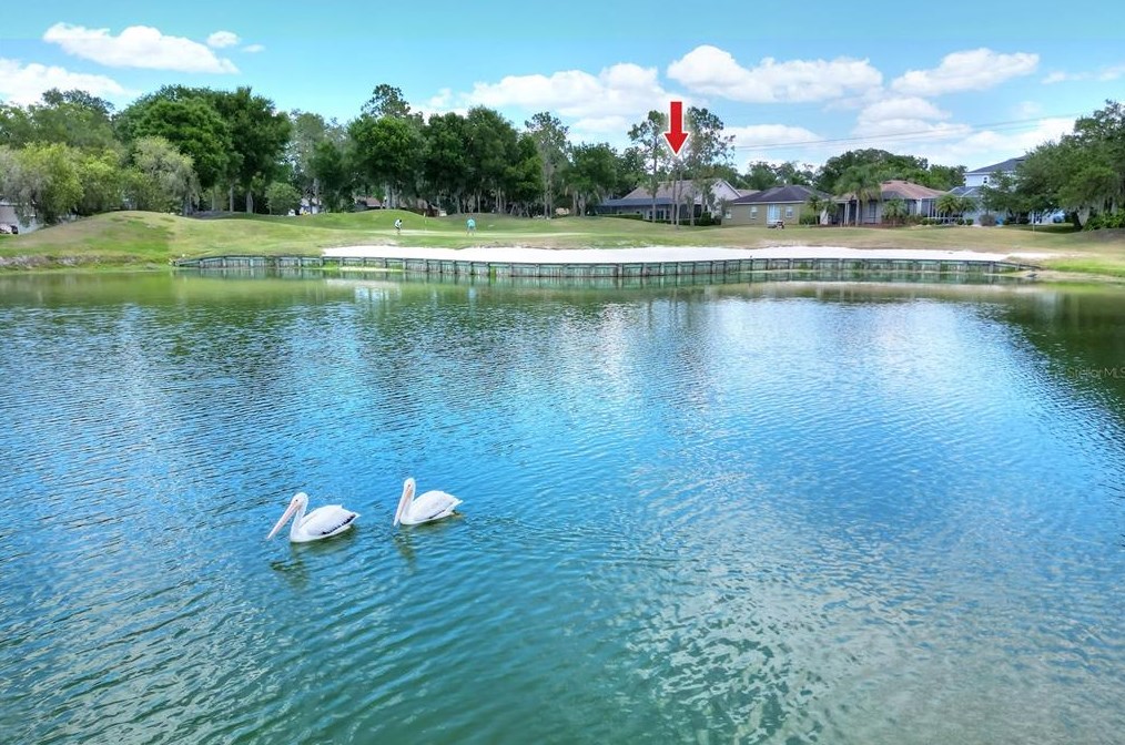 6805 Lake Eaglebrooke Dr, Lakeland FL  33813-5667 exterior