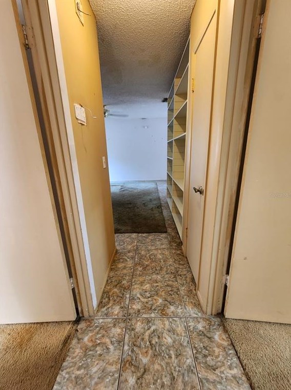 338 Sand Pne Trl, Winter Haven FL  33880-1101 exterior