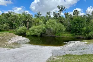 3456 Elm St, Zolfo Springs, FL 33890 - Photo 38