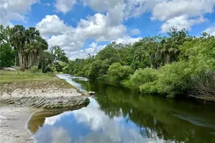 3456 Elm St, Zolfo Springs, FL 33890 - Photo 40