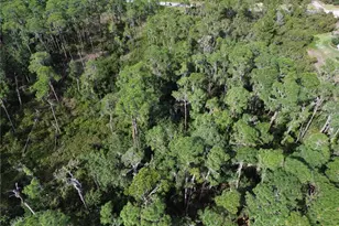 3029 Hawks Lndg Cir, Sebring, FL 33875 - Photo 18