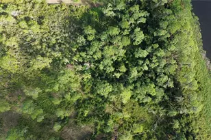 3029 Hawks Lndg Cir, Sebring, FL 33875 - Photo 8