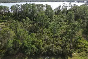 3029 Hawks Lndg Cir, Sebring, FL 33875 - Photo 1