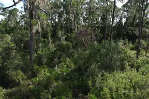 3029 Hawks Lndg Cir, Sebring, FL 33875 - Photo 14