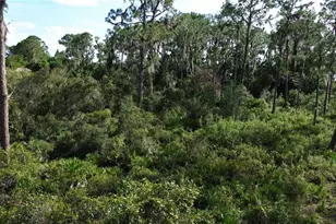 3029 Hawks Lndg Cir, Sebring, FL 33875 - Photo 10