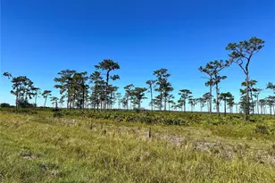 E County Line Rd, Fort Meade, FL 33841 - Photo 1