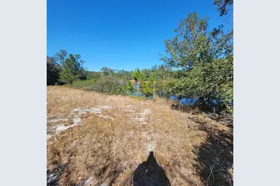 Pfundstein Road, Babson Park, FL 33827 - Photo 1