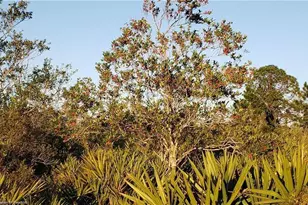 625 N Range Dr, Lorida, FL 33857 - Photo 2