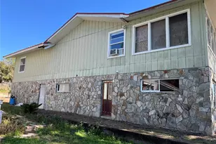 330 Callitris Ave, Polk City, FL 33868 - Photo 6